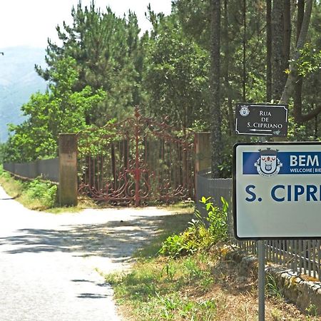 Willa Quinta De S. Cipriano Resende Zewnętrze zdjęcie