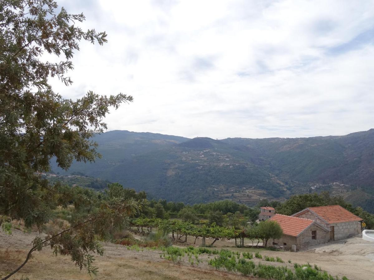 Willa Quinta De S. Cipriano Resende Zewnętrze zdjęcie