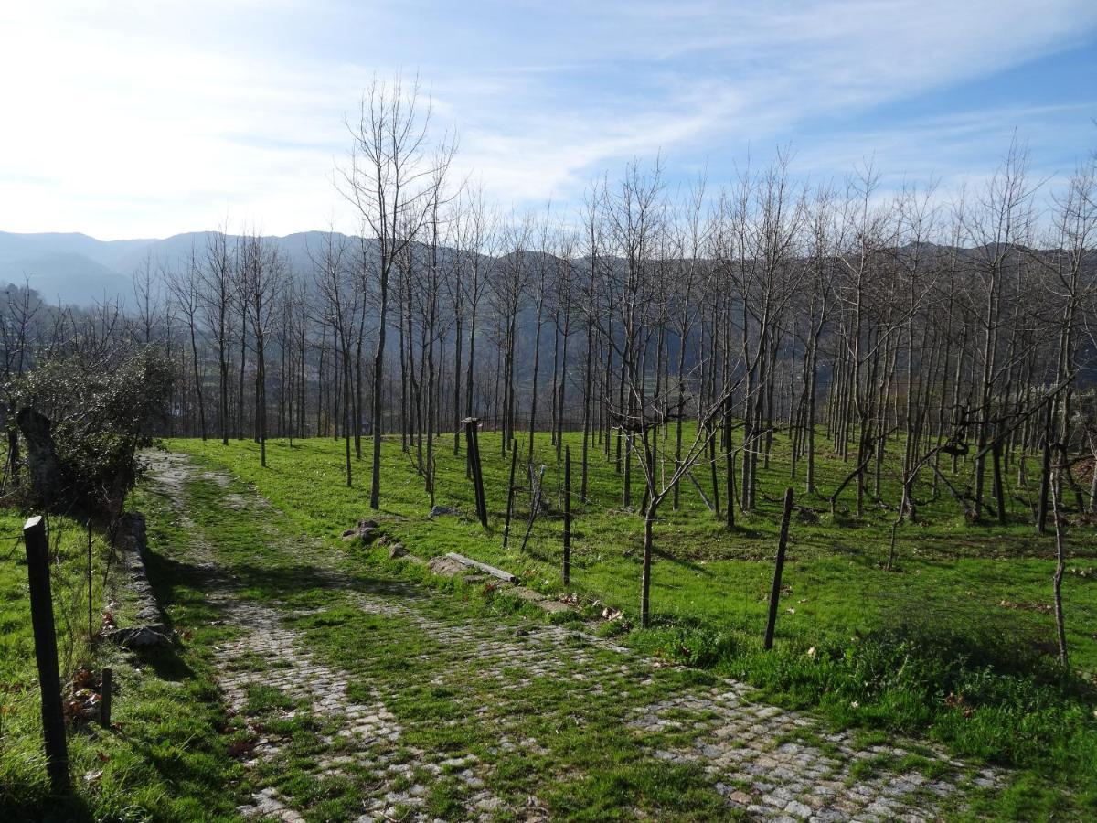Willa Quinta De S. Cipriano Resende Zewnętrze zdjęcie