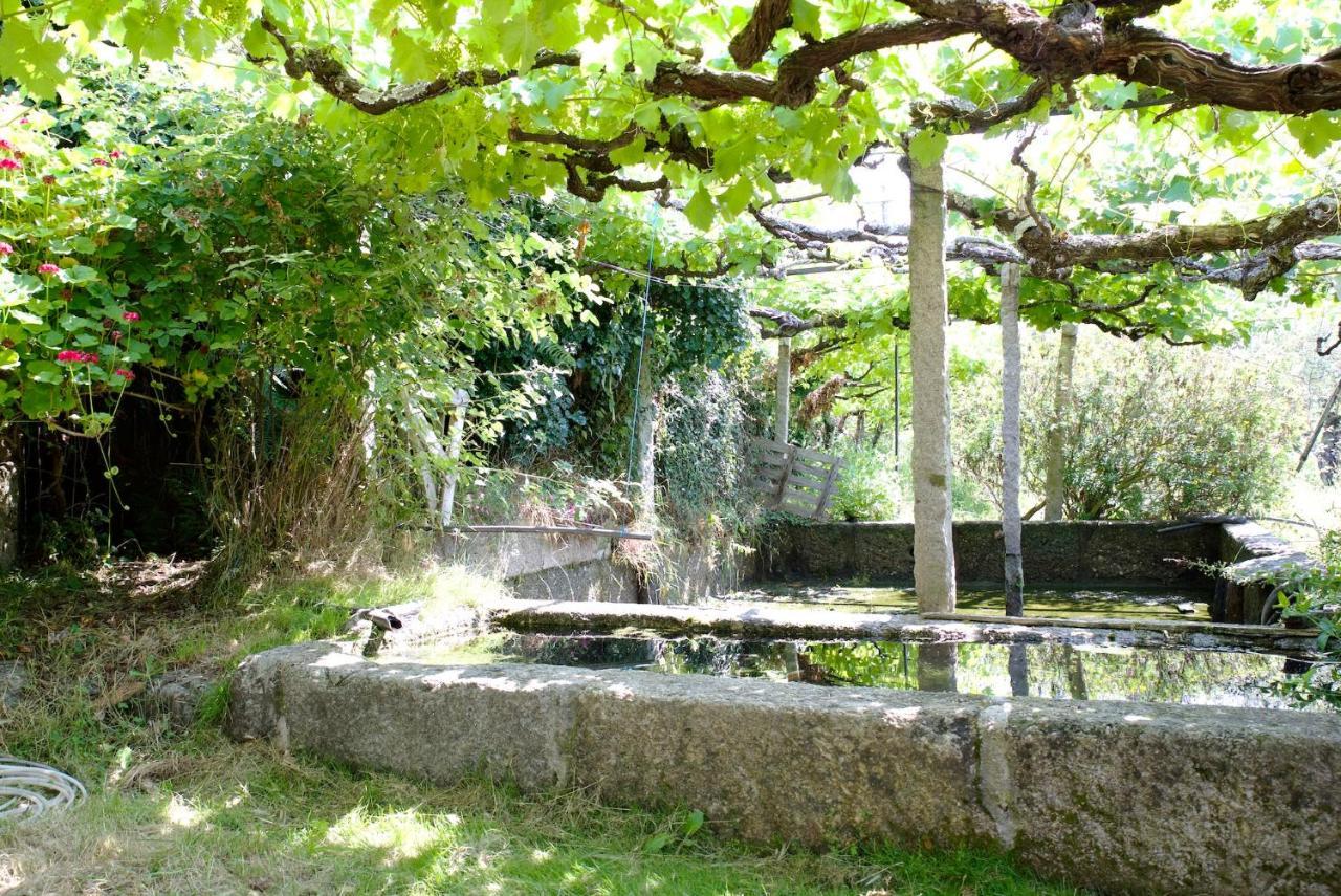 Willa Quinta De S. Cipriano Resende Zewnętrze zdjęcie