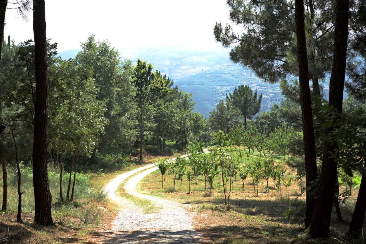 Willa Quinta De S. Cipriano Resende Zewnętrze zdjęcie