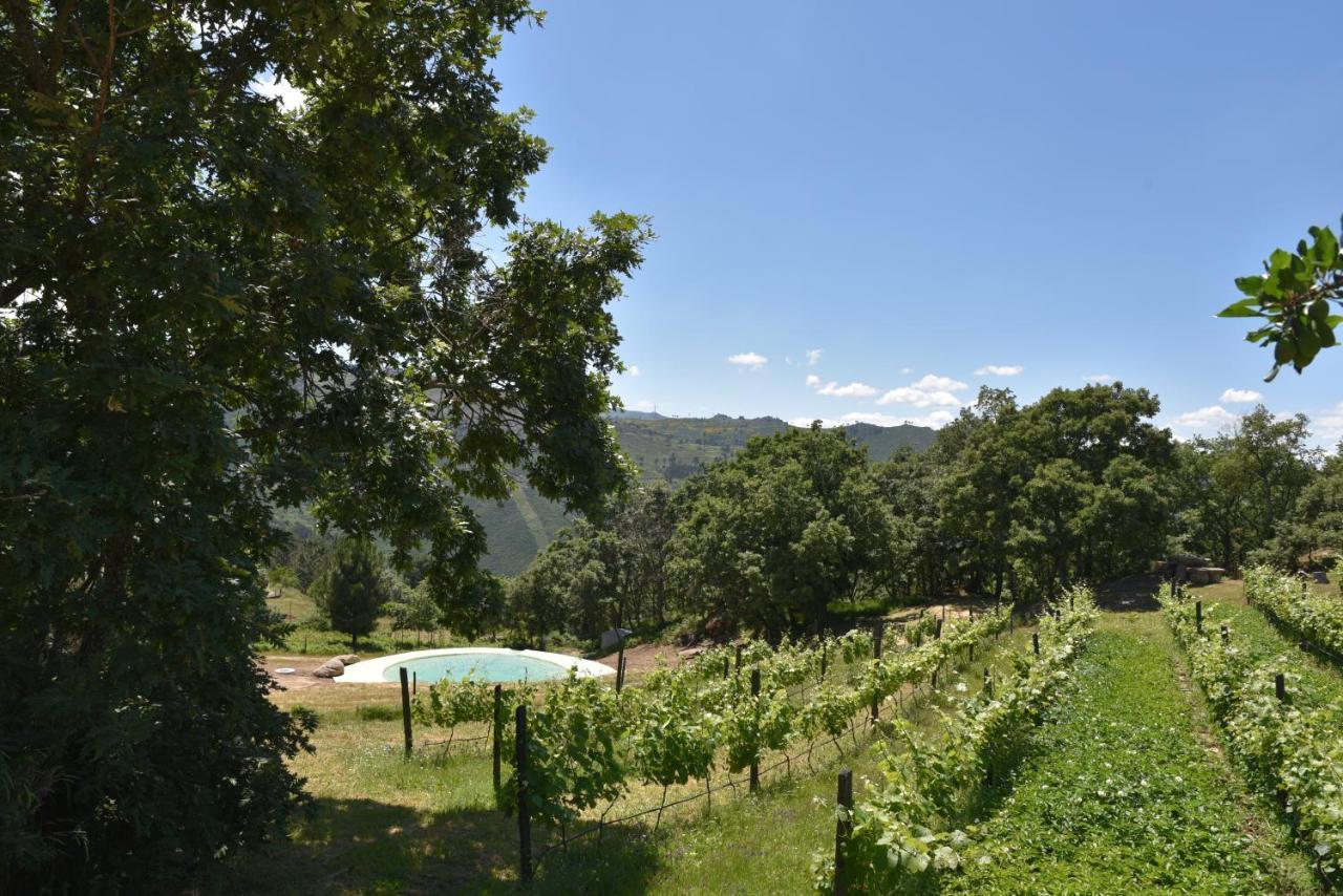 Willa Quinta De S. Cipriano Resende Zewnętrze zdjęcie